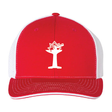 Snapback Hat